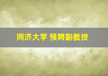 同济大学 预聘副教授